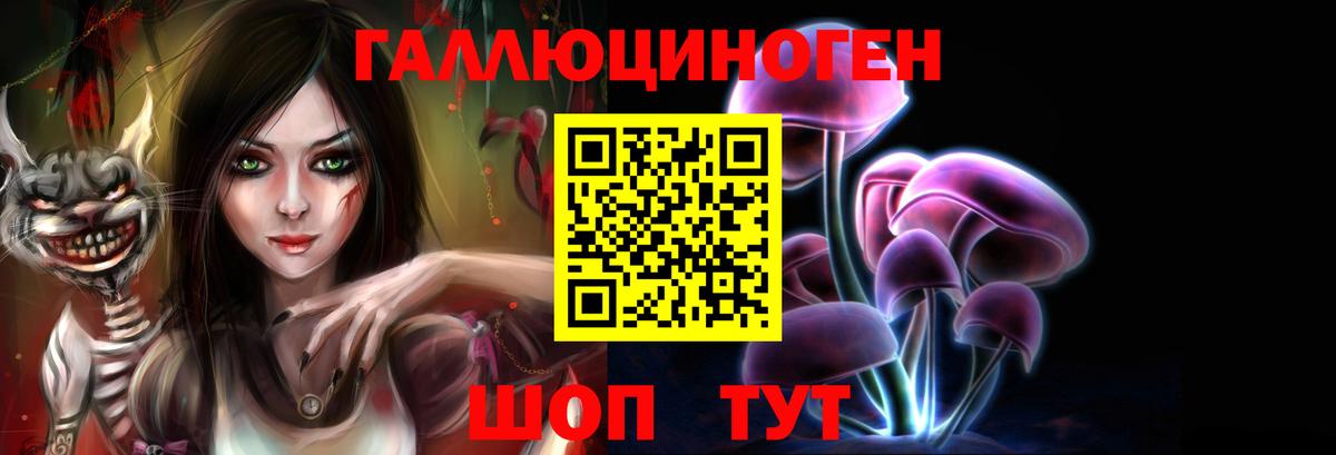 Псилоцибиновые грибы Cubensis Электрогорск